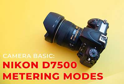 Nikon D7500 Metering Modes Explained A Complete Guide