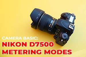 Nikon D7500 Metering Modes