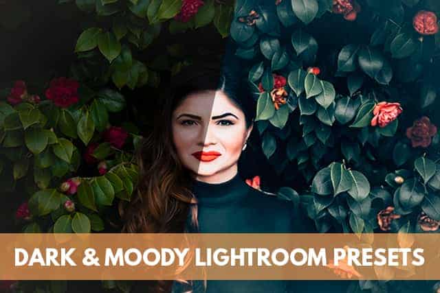 Dark and Moody Lightroom Presets For Mobile