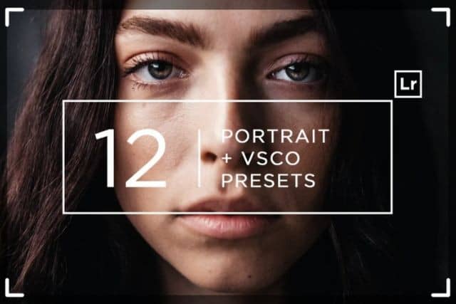 12 Pro Portrait VSCO Lightroom Presets
