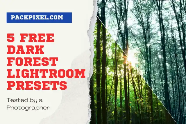 5 Free Dark Forest Lightroom Presets: Tested by a Photographer